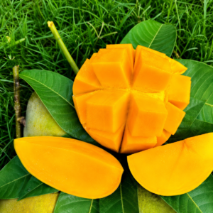 নওগাঁ সাপাহারের হিমসাগর আম ১২ কেজি