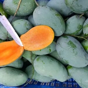 নওগাঁ সাপাহারের আমরুপালি  আম — ১২ কেজি প্যাক